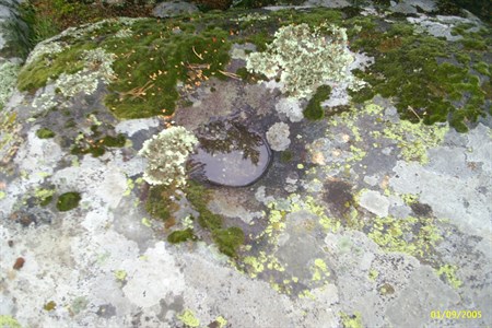 Skalno izsichane